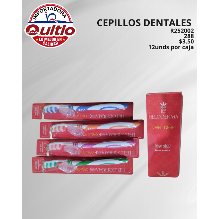 CEPILLO DENTAL R252002 CAJA 12 UDNS BX24X12 Q.9531 2X10