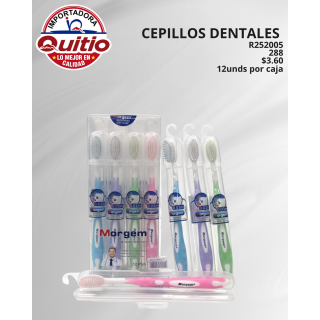 CEPILLO DE DIENTES R252005 Q.9861 2X12