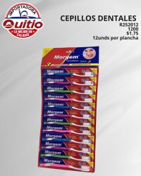 CEPILLO DENTAL R252012 PLANCHA 12 UNDS BX100X12 Q.9060 2X6