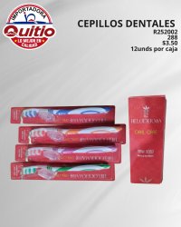CEPILLO DENTAL R252002 Q.9210 3X2