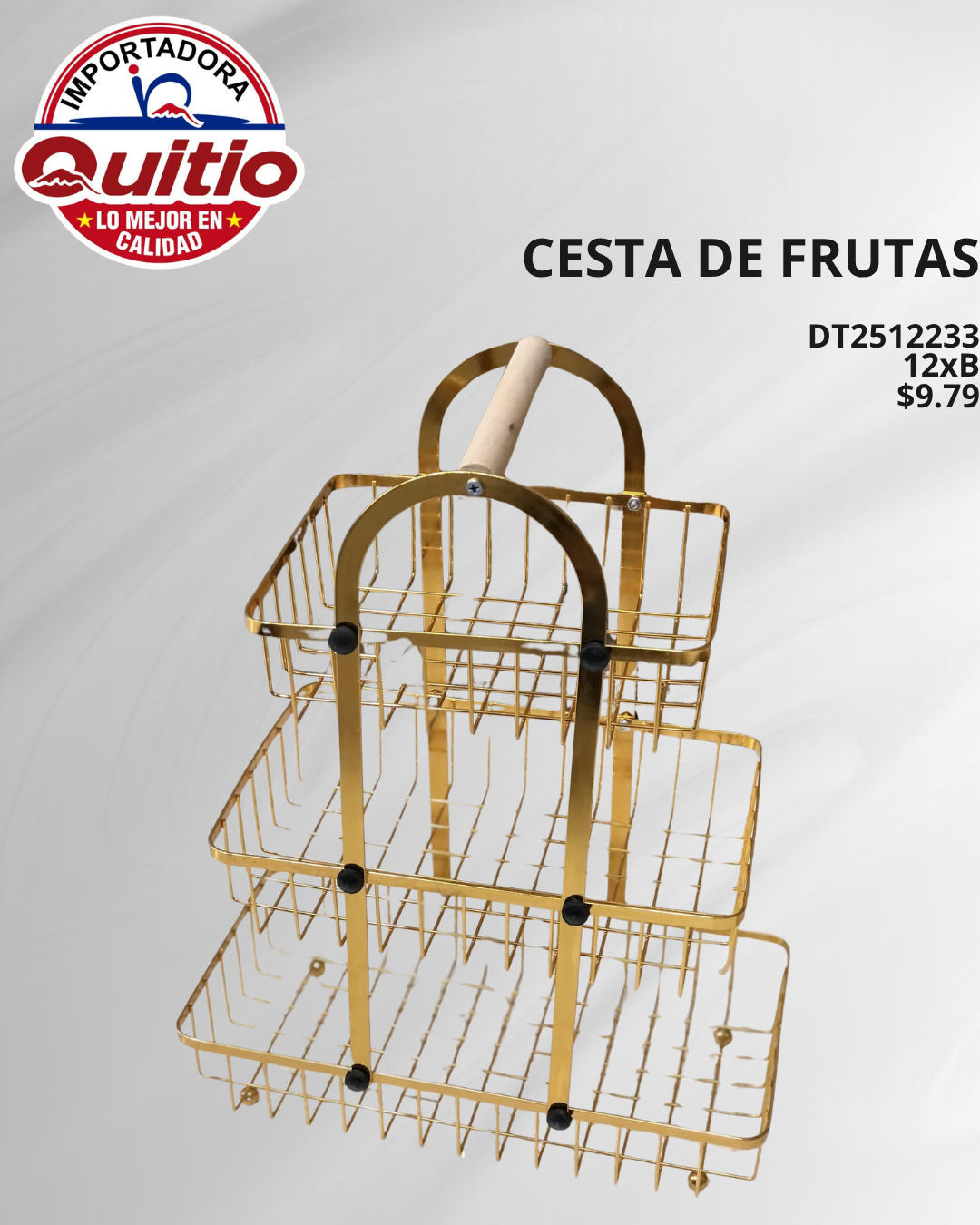 CESTA DE FRUTAS DT2512233 BX12 Q.9295