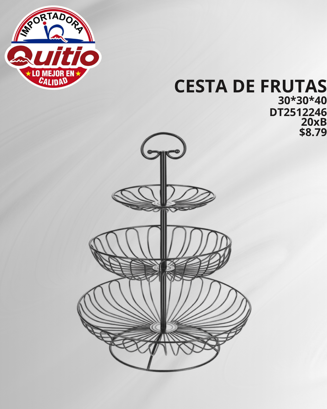 CESTA DE FRUTAS DT2512246 BX20 Q.9894