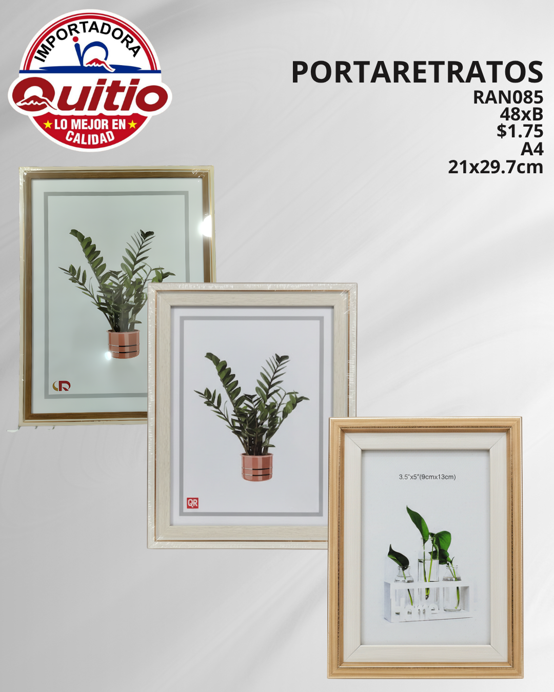 PORTARRETRATO RAN085 A4 BX48 Q.9670 2X5