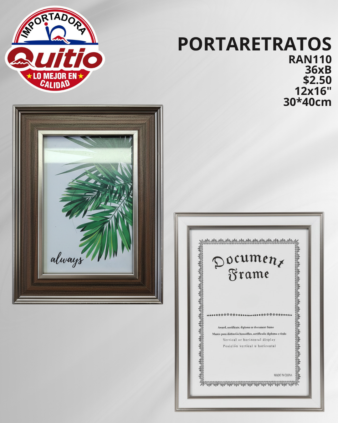 PORTARRETRATO RAN110 12X16 BX36 Q.9411 2X7
