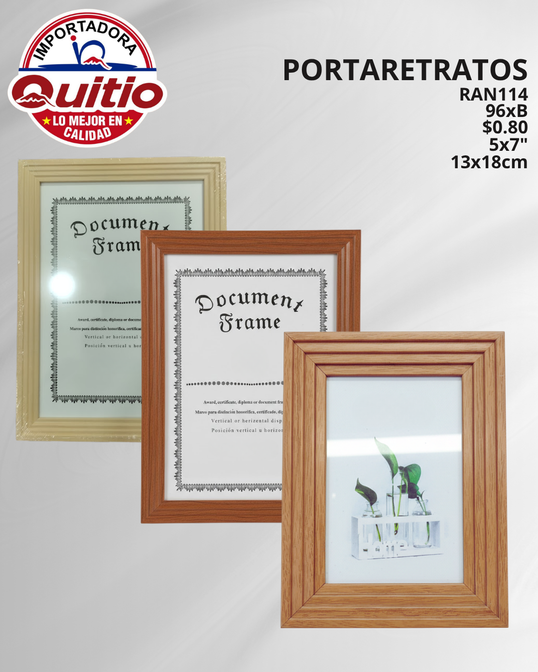 PORTARRETRATO RAN114 BX96 Q.9940 4X5